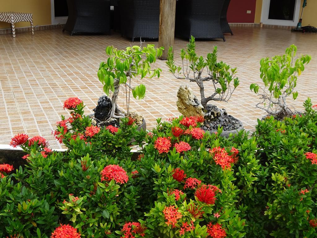 Bohol Sunside Resort Панглао Екстериор снимка